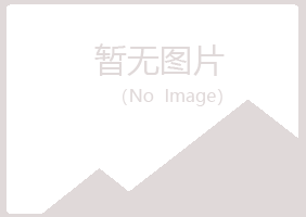 黑山县听枫银行有限公司